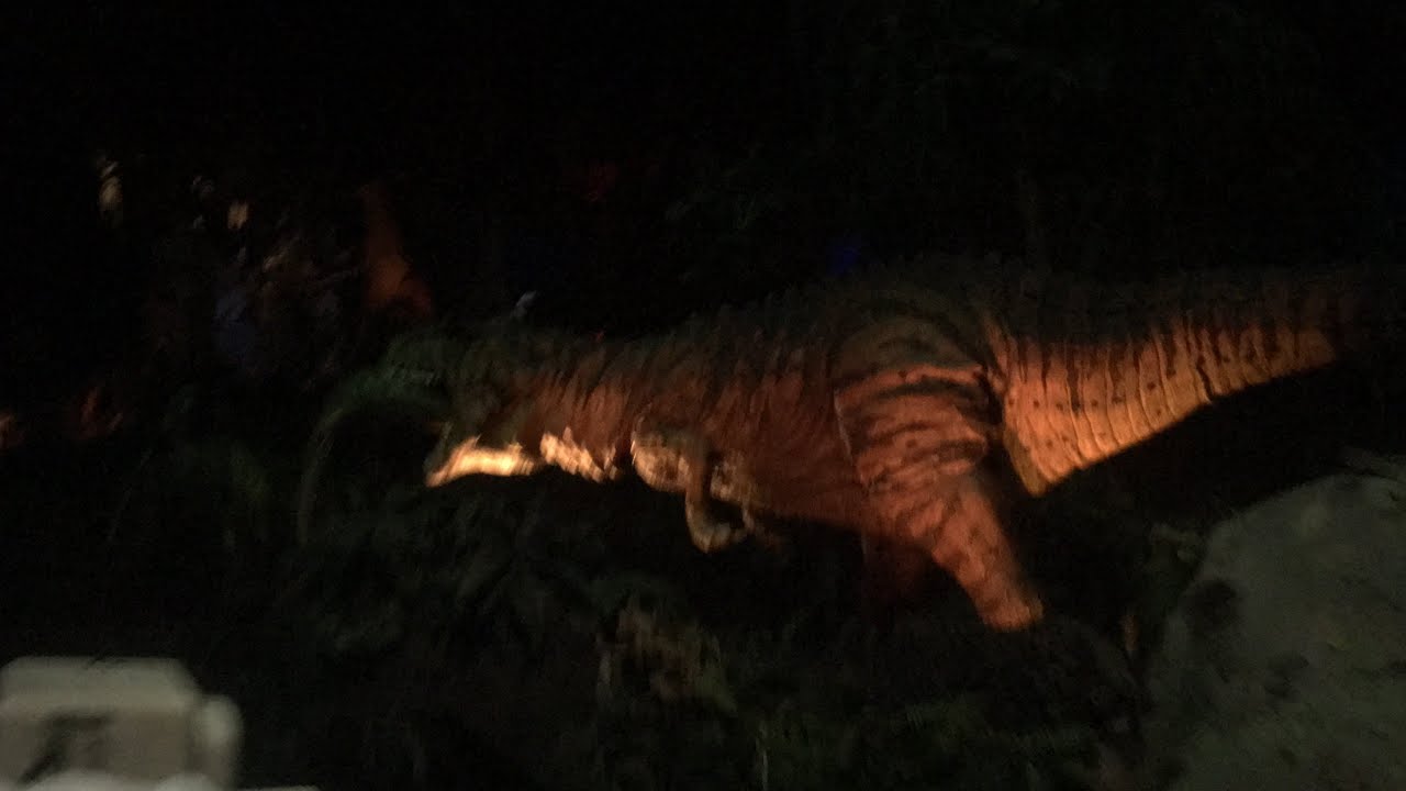 PHOTOS: See Dinosaur With the LIGHTS ON in Disney World