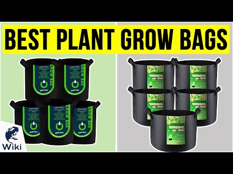 8 Best Plant Grow Bags 2020
