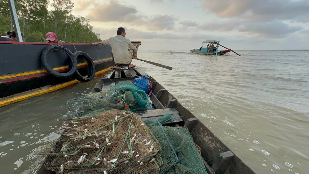 Cửa Ngục bữa nay trúng mánh quá đậm . Săn bắt ở cửa Biển Trần Đề VXĐ 