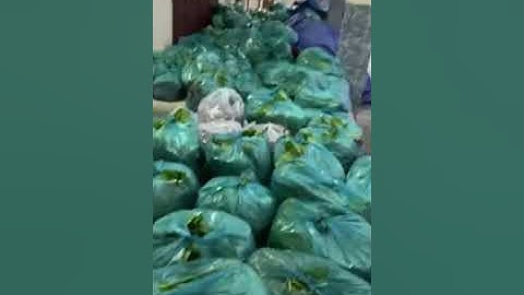 GXTT - PHẦN 3 MƯA VẪN MƯA / NHỊP ĐỘ LÀM VIỆC KHÔNG THAY ĐỔI