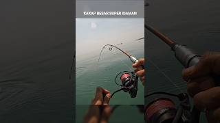 Strike Kakap Putih Besar Super Idaman