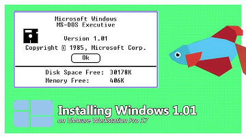 Installing Windows 1.01 on VMware Workstation Pro 17