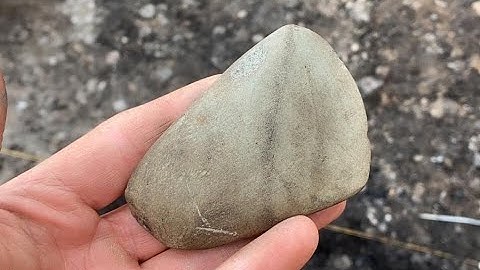 FOTM   June 2021   Neolithic Polished Axe heads