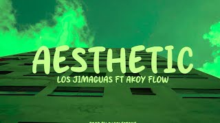 Aesthetic-Los Jimaguas X Akoy Flow(Video Oficial)