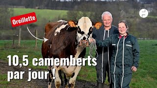 Ce qu'il faut savoir sur Oreillette, la vache normande, égérie du Salon de l'Agriculture