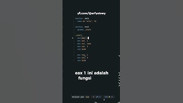 section dalam bahasa assembly           #indonesia #coding #programming #assembly