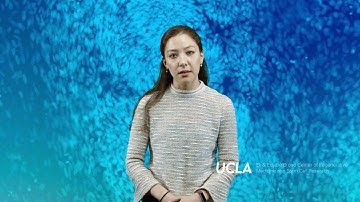 Pinpointing the factors that influence stem cell aging | Sophia Lewis