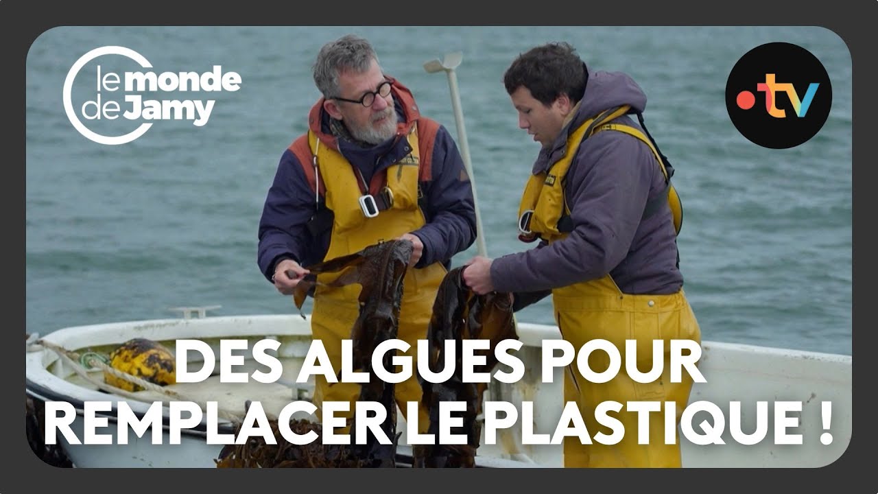 Des algues pour remplacer le plastique ? - Le monde de Jamy