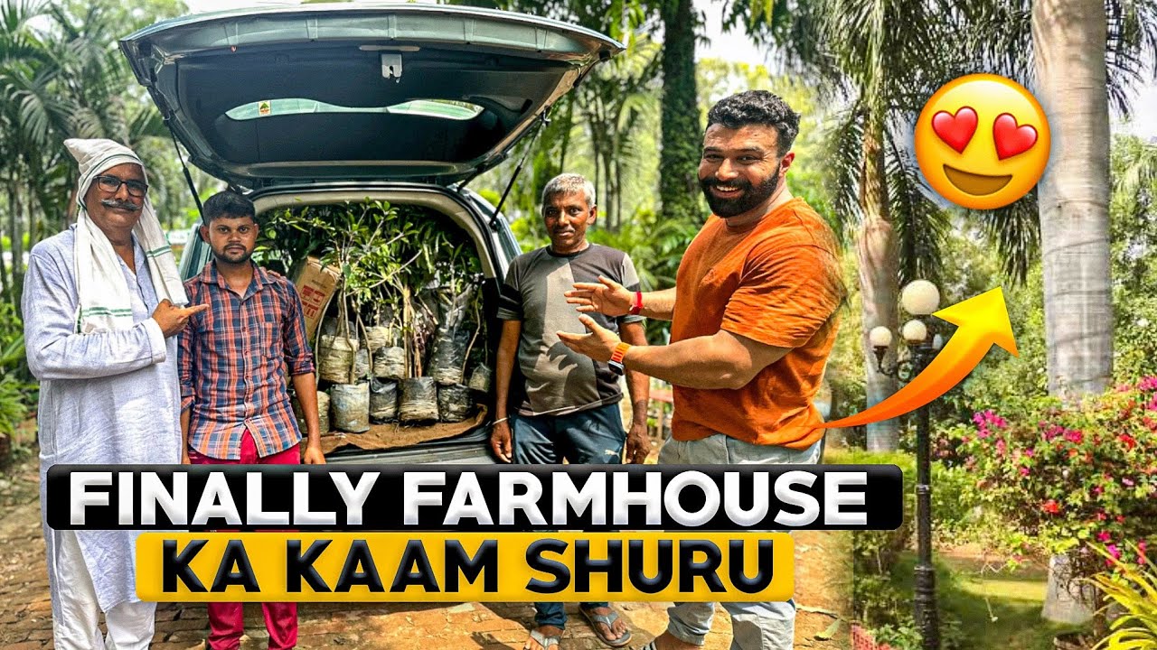 Finally Apne FARMHOUSE Ke Liye PLANTS Leliye 😍 | 2.5 Lack Rs Kilo MANGO 🥭 | Panghal Vlogs