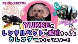 『MUCK ON!TV』#031「YUKKEのレンタルペットの琥珀ちゃんとカレンダーつくってみよー!!」(試食版) 『MUCK ON!TV』#031「YUKKEのレンタルペットの琥珀ちゃんとカレンダーつくってみよー!!」(試食版)