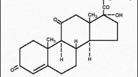 Subsonic - Cortisone