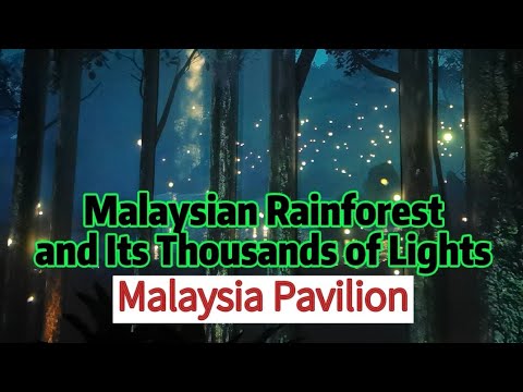 Malaysian Rainforest and Its Thousands of Lights - Malaysia Pavilion - EXPO 2020 DUBAI