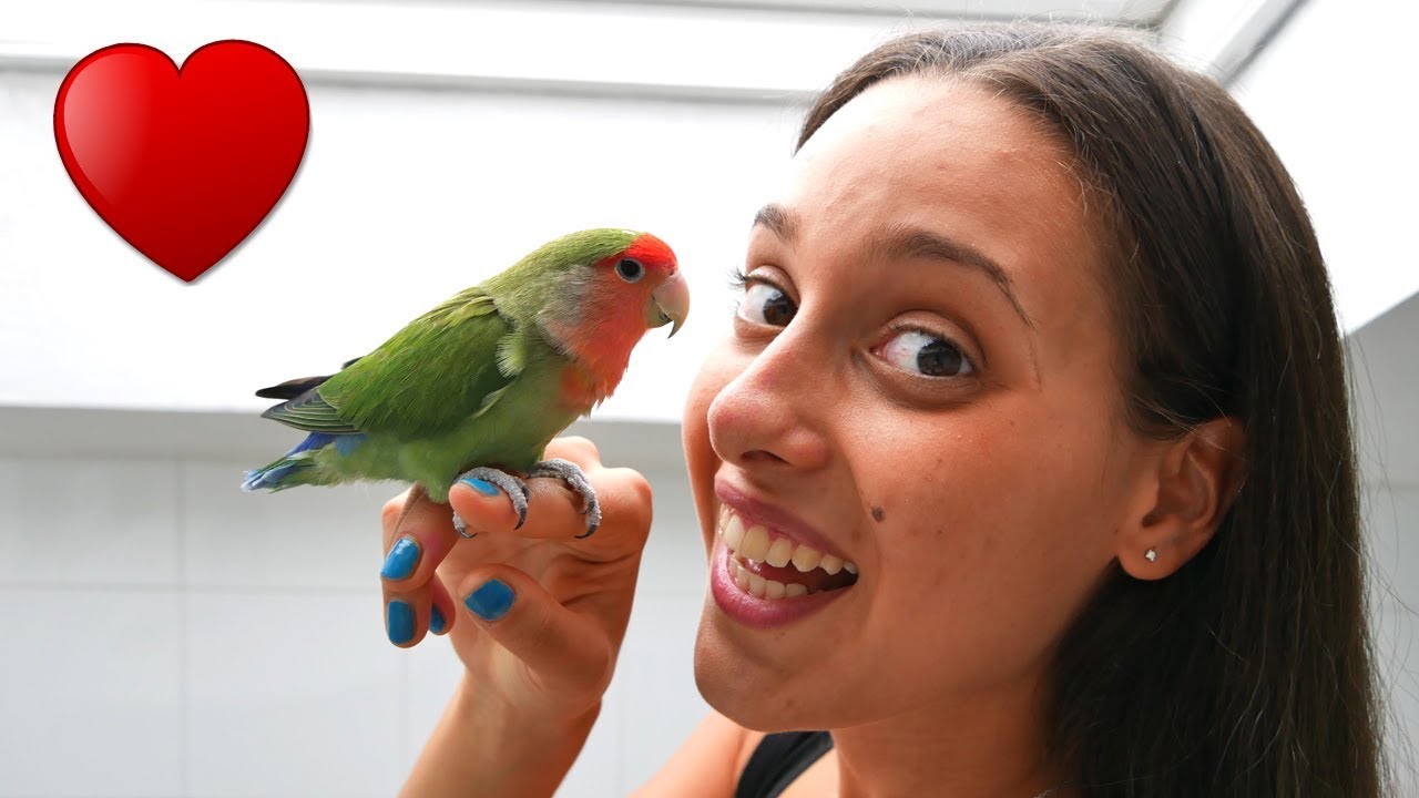 VI PRESENTIAMO CIPÌ