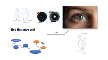 Eye Entrance and Exit Pupils