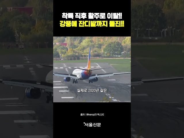 thumbnail - 착륙 직후 활주로 이탈한 여객기!! 강풍에 휘청이며 잔디밭까지 돌진!!