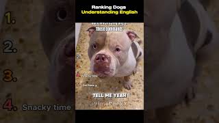 Ranking Dogs That Understand English