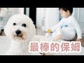 最棒的保姆 BEST BABYSITTER | BethniVlogs