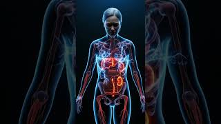 What Happens If Humans Take Dog Painkillers? #medicine #humanbody #medicalanimation #shorts#anatomy