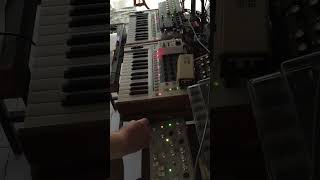 Deep Pendulum / Dark Energy - Ritm2 - Dominion1 #electronicmusic #music #analogsynth #techno #synth