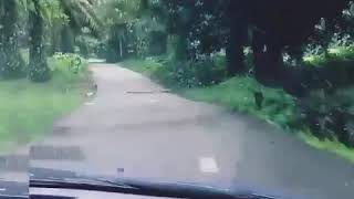AMAN SHAH LAGU RAYA
