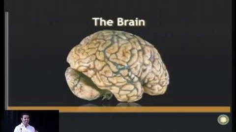 Computational Analysis Methods and Issues in Human Cognitive Neuroscience