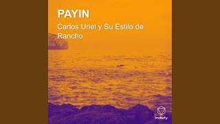 Download lagu PAYIN