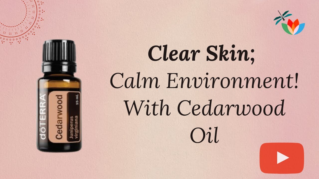 Cedarwood essential oil - uses & benefits. Buy certified pure oils ...