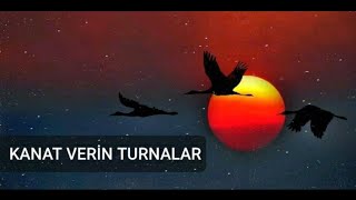 HiraiZerdüş | Kanat verin turnalar [ akustik ] Resimi