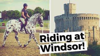 Royal Windsor Horse Show With A British Appaloosa Discoverthehorse Episode 