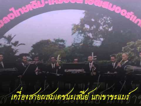 นกเขาขะแมร์ ๒ ชั้น