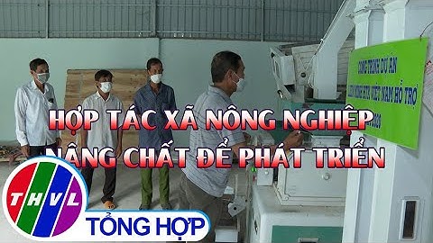 Nông nghiệp bền vững: Hợp tác xã nông nghiệp nâng chất để phát triển