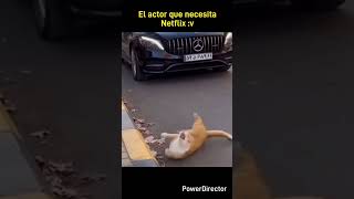 #humor #meme #comedia #viral