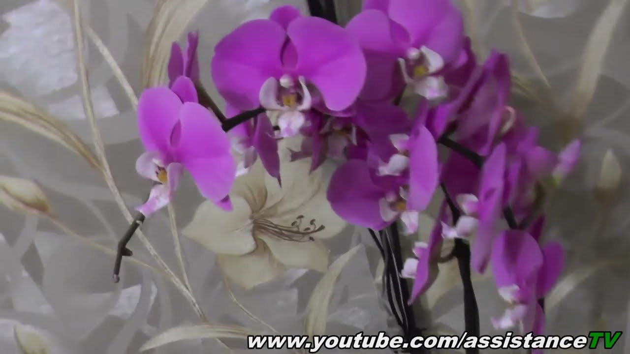 Орхидеи после подкормки