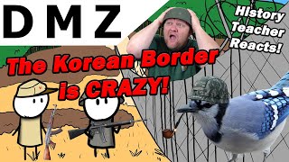 History of the Korean DMZ in a Nutshell | BlueJay | History Teacher Reacts
