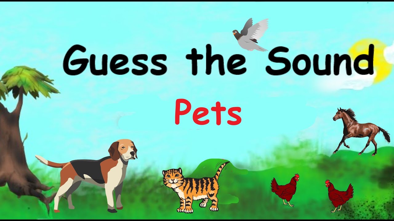 Guess The Sound Pets YouTube guess-the-sound-pets-youtube