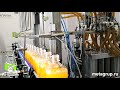 Автомат розлива мыла, бытовой химии АР-2000П-МГ производительность 2000 бут-час (обзорное видео)