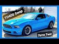 Building an 8 Second Turbo Mustang - TH400 vs 6R80 | Horsepower Fail | Coyote