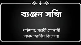 ব্যঞ্জন সন্ধি#byanjan xandhi(combination of consonant)