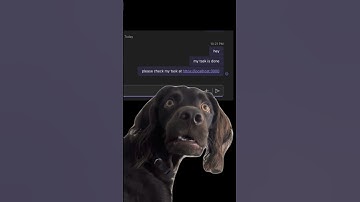 เพื่อนร่วมงานส่ง localhost มาให้...จะบ้าตาย! 😭 #developer #programmer #devlife #คนทำงาน #ออฟฟิศ