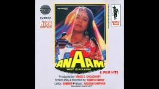 Hum Nashin Dilruba-(Anaam 1992) Kumar Sanu【Sadhana Sargam【Armaan Kohli【Ayesha Jhulka
