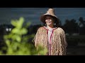 The Significance of Grandmother Cedar in Native American Culture and Conservation