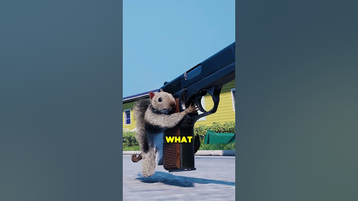 Squirrel With A Gun Video Game