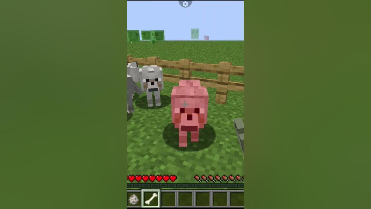 taming-a-dog-in-minecraft-shorts-maddy-loss-youtube