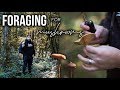 FORAGING FOR MUSHROOMS IN THE PNW FOREST