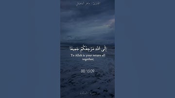 ياأيها الذين آمنوا عليكم أنفسكم لا يضركم من ضل إذا اهتديتم ||#ماهر_المعيقلي #سورة_المائدة