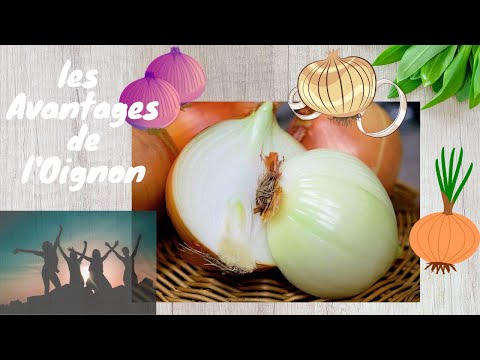 Video: Vaginale Inflammasie By Katte