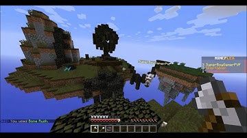 Hacker in super smash mobs #13