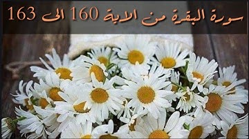 حفظ سورة البقرة من الاية 160 الى 163 بالتكرار