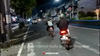 Story WA Keren || Ojo Ngece Karo Wong Ora Nduwe