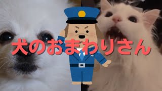 犬のおまわりさん(Dog and Cat Cover)//GarageBand iOSで作ってみた